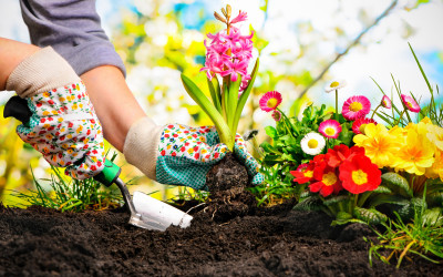 Planting a flower