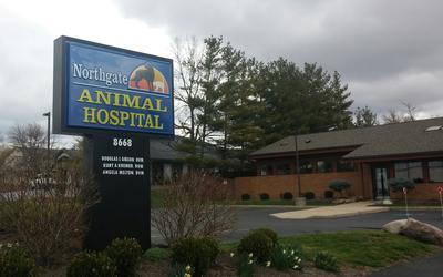 Northgate animal hospital
