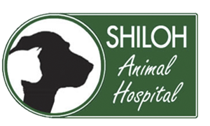 Shiloh animal hospital