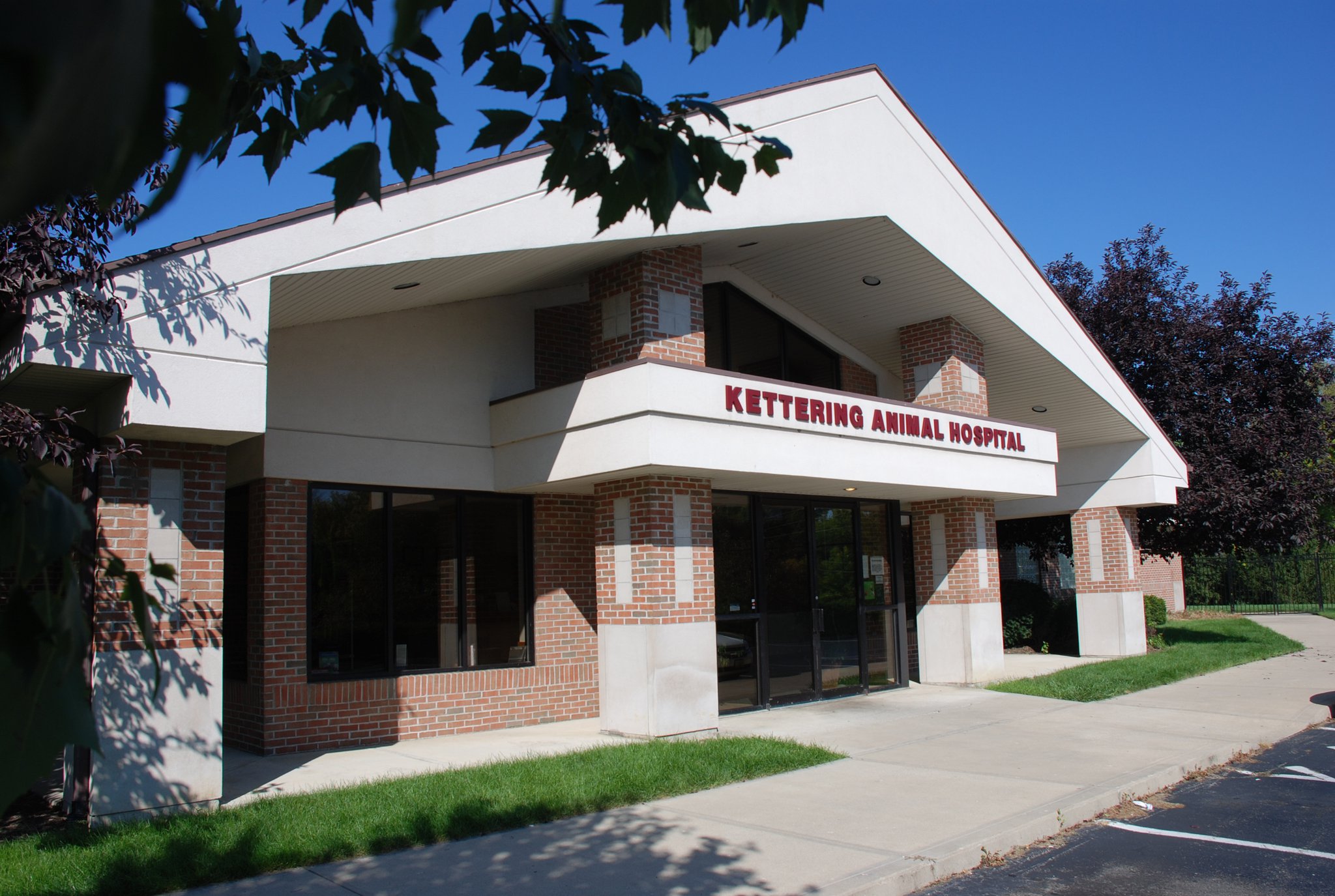 10 Top Veterinary Clinics in Dayton, Ohio | Oberer Homes 10 Top Veterinary Clinics in Dayton, Ohio | Oberer Homes