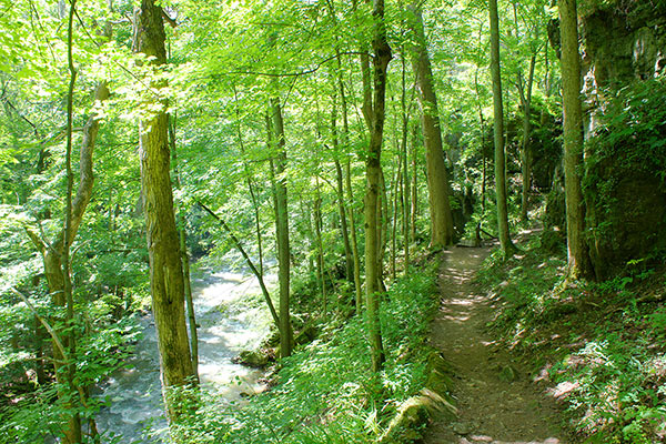 john bryan state park