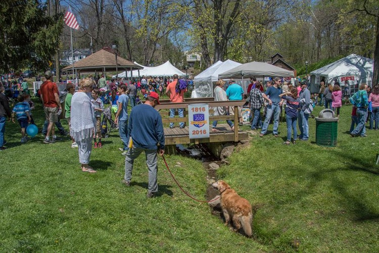 Sugar Maple Festival