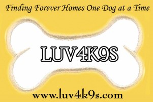 luv4k9s rescue dayton