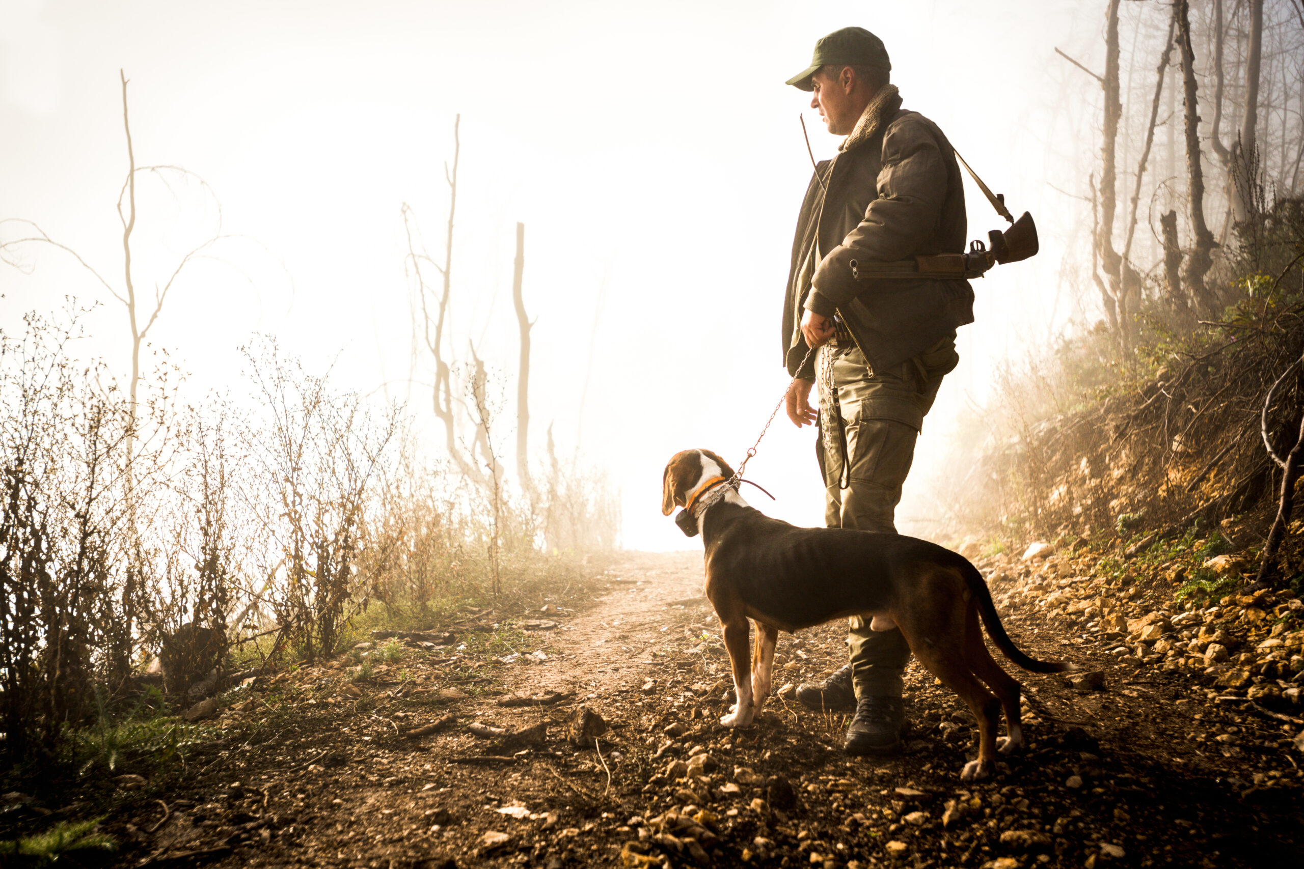 public hunting near dayton ohio