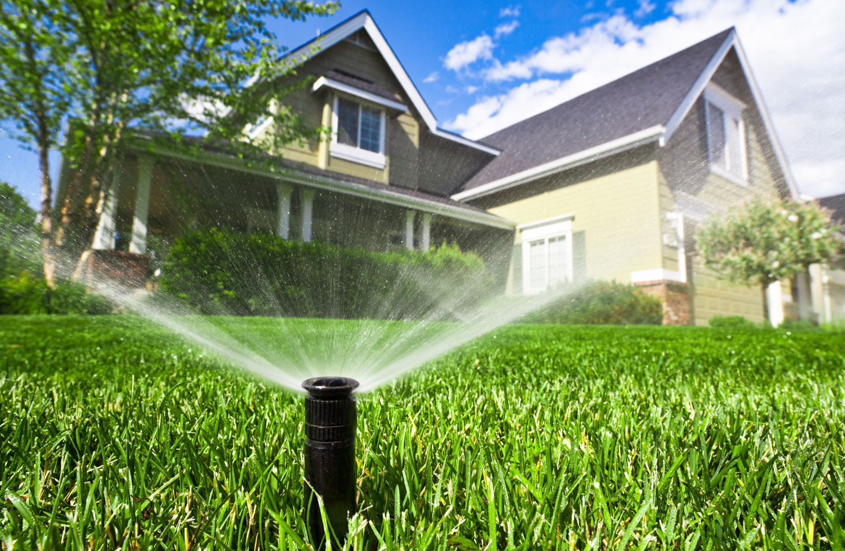 Low maintenance irrigation system on suburban front lawn.