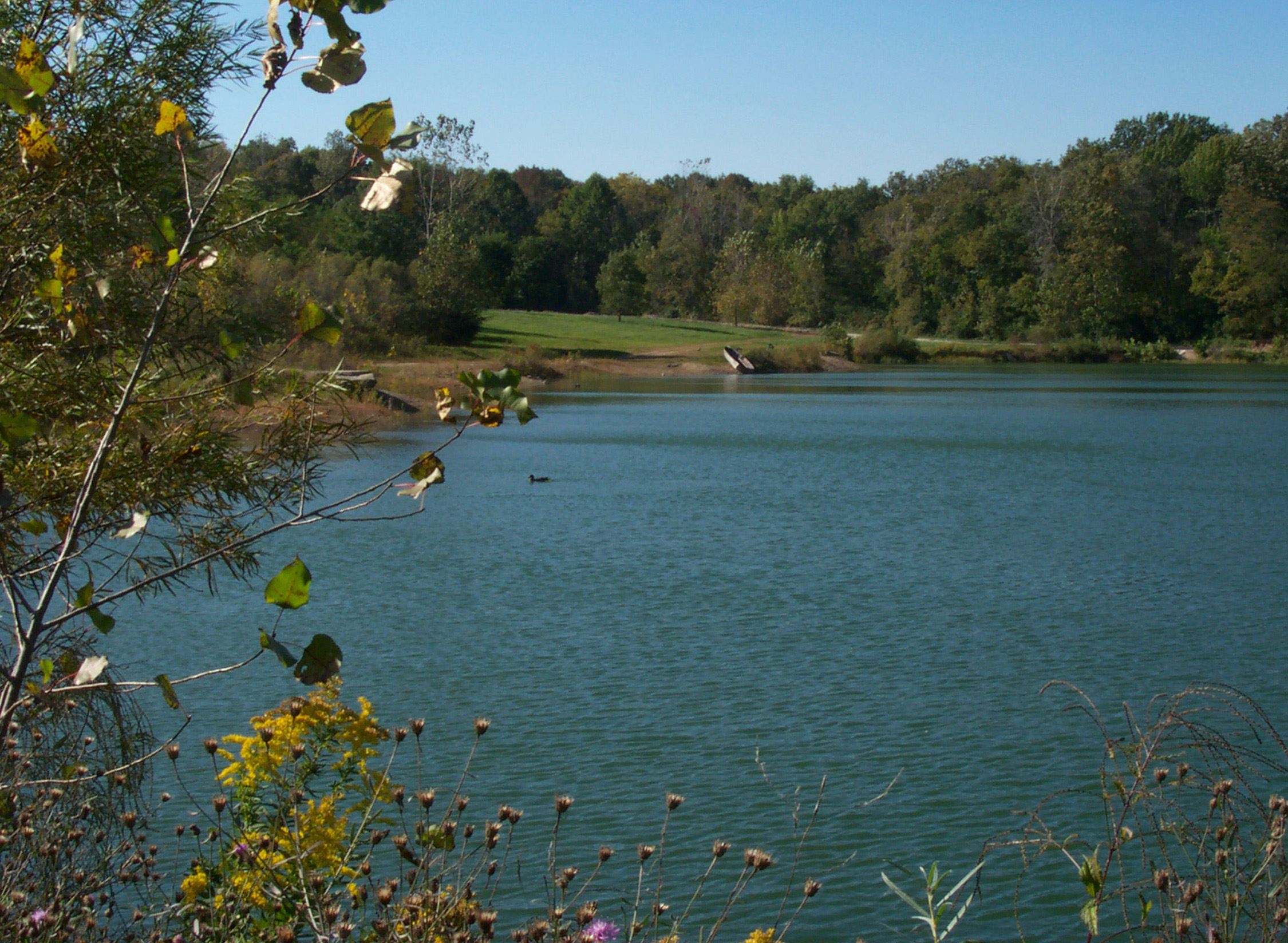 Fishing ponds at Englewood MetroPark.