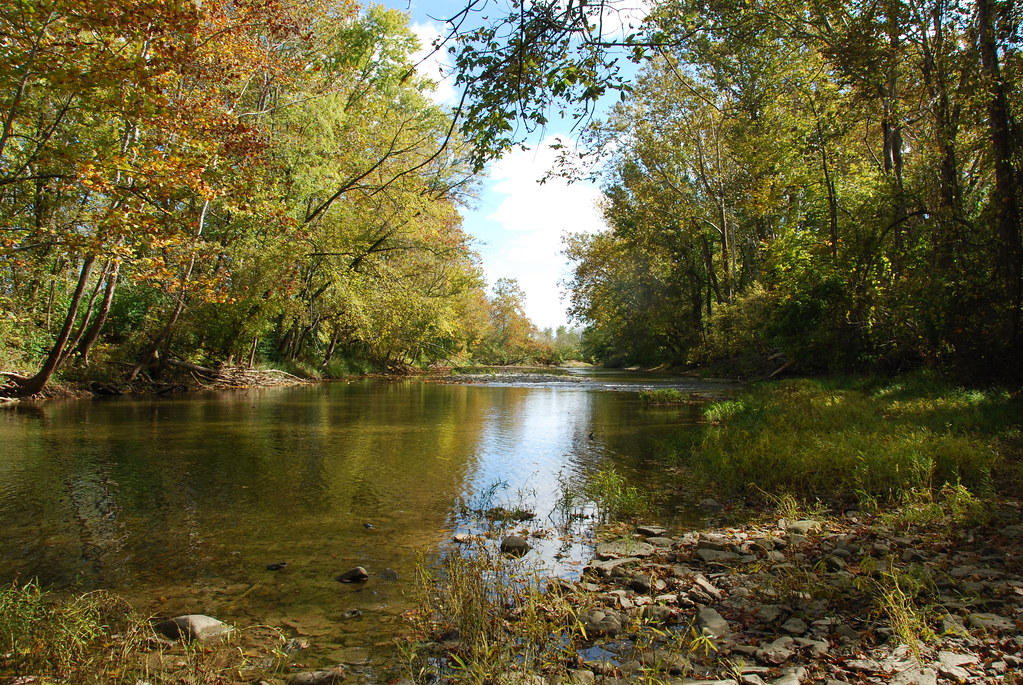 Fishing destination on the banks of Twin Creek.