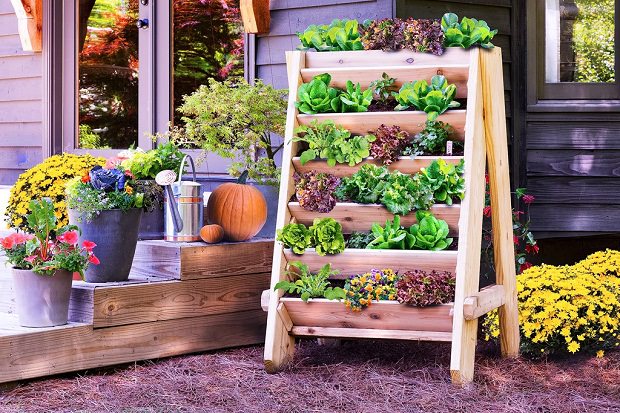 Small backyard with a vertical garden.