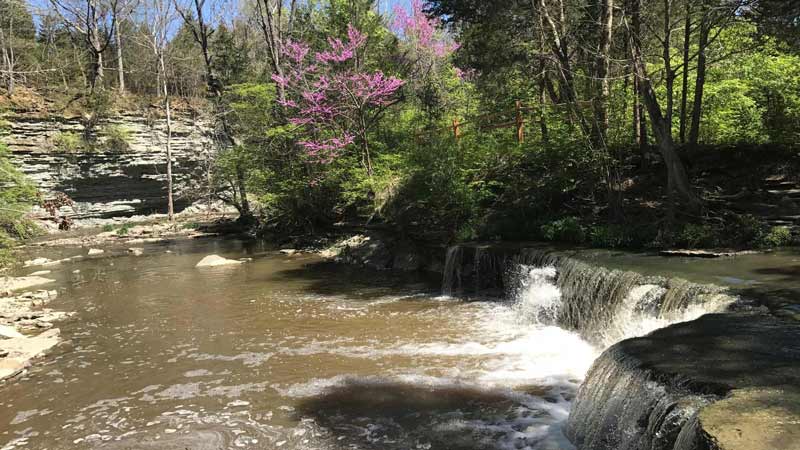 Waterfall and wooded area at Caesar Creek State Park.