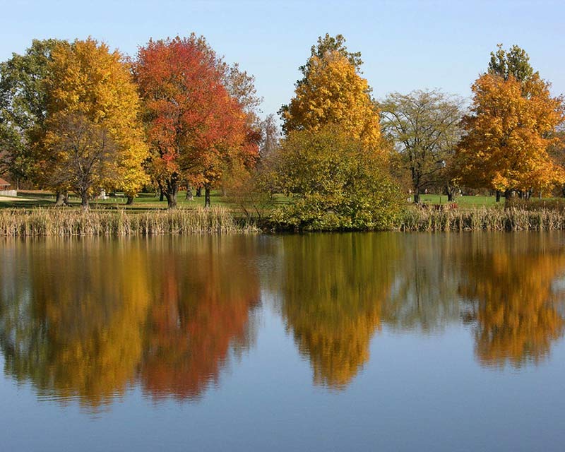 Fall foliage reflected in a lake at Hueston Woods State Park.