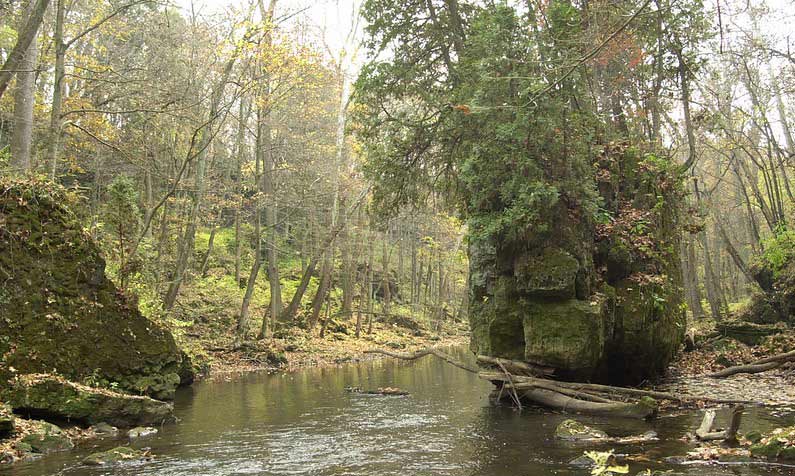 Wooded area and creek in John Bryan State Park.
