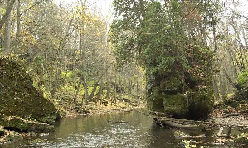 Wooded area and creek in John Bryan State Park.