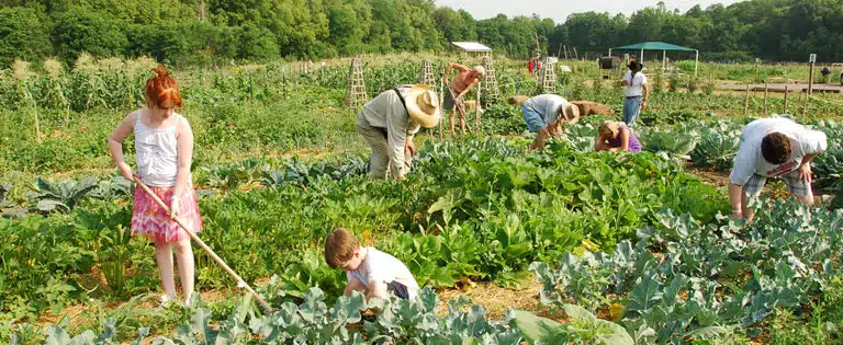  People working together at the Five Rivers MetroPark.
