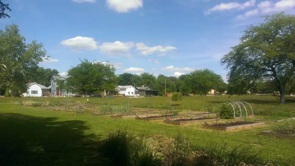 Raised plots at South Park Urban Garden.
