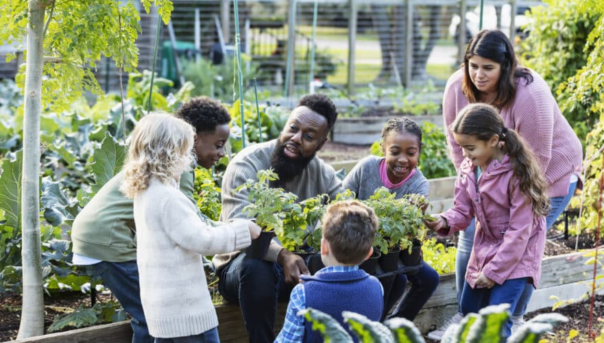 community gardens dayton ohio