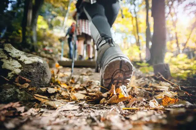 Featured image for “Best in Outdoor Living: Washington Township’s Parks and Recreation”